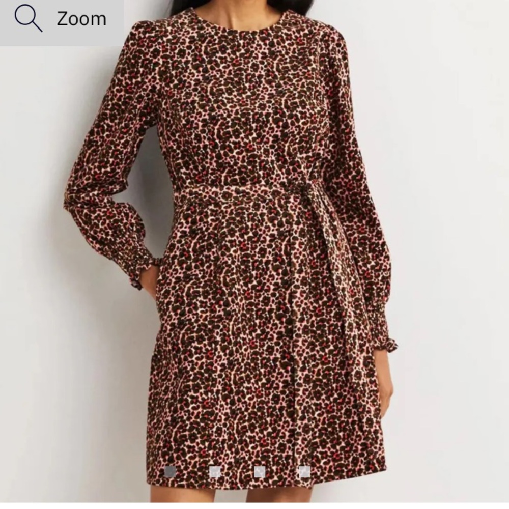 Boden Long Sleeve Leopard-Print Dress in Brown and Red